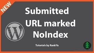 Submitted URL Marked NOINDEX - WordPress Category Index Coverage Issue Fix