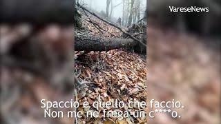 L'incontro con gli spacciatori nel bosco: "Andate via, stiamo lavorando"