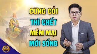 Vì Sao Lão Tử Nói: ‘Cứng Cỏi Thì Ch.ết, Mềm Mại Mới Sống'? - Đông Tây Kim Cổ