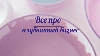 Клубника в шоколаде|Как начать клубничный бизнес закупкиБизнес Без тайн