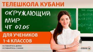 Уроки для учеников 1-4 классов. «Окружающий мир» за 07.05.20 | «Телешкола Кубани»