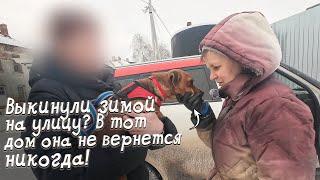 Выкинули зимой из дома? Или просто отправили погулять? В чём разница?