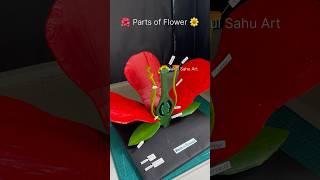 Parts of flower 3d model science project for #biology  #youtubeshorts nakulsahuart