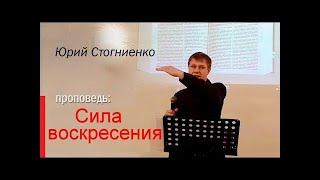 Сила воскресения  Юрий Стогниенко