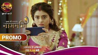 Ishq Ki Dastaan Naagmani | Paro के सामने आया Chudel का राज़! | Sneak Peek | Dangal TV