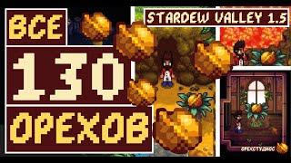 ВСЕ ОРЕХИ В STARDEW VALLEY 1.5 | ГАЙД