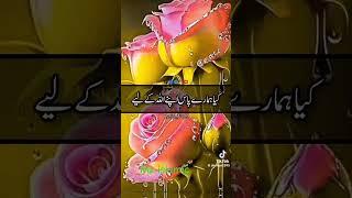 @dawet