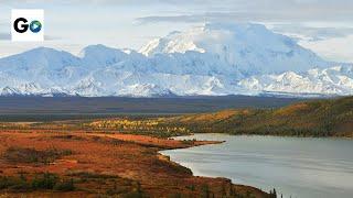 Denali National Park