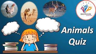 Animal Quiz | Animal Quiz for kids | Guess the animal | Brighteaching