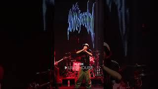 38 Special - Concrete Jungle Festival 2025 @Mr.FOX Live House