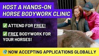 Host a Hands-on Horse Bodywork Clinic + Attend for FREE!! | Holistic Horseworks