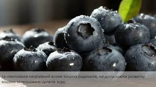 Унікальні властивості чорниці, її користь для здоров’я