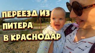 Переезд в Краснодар из Санкт-Петербурга с двумя детьми и собакой