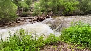 Cottonwood Creek