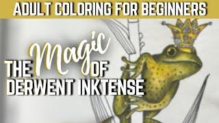 LET'S COLOR! | THE MAGIC OF DERWENT INKTENSE | Derwent Inktense for Beginners