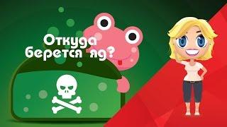 Узнать за 90 секунд Откуда у животных яд? - Развивающие мультфильмы Познавака (32 серия, 1 сезон)