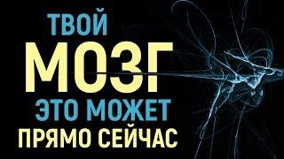 Возможности мозга