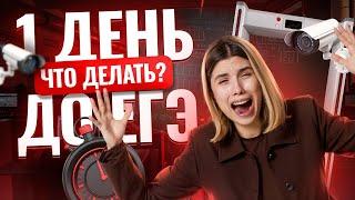 Что делать за 1 день до экзамена? | Информатика ЕГЭ 2025 | Умскул