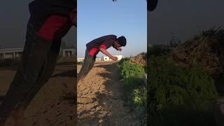 Combo Flip#viral #gymnast #stuntvideo #trendingsong #Rs king flipper