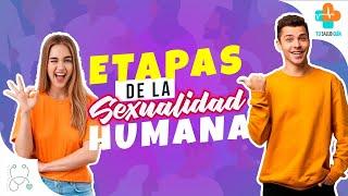 ¿Cuáles son las etapas de la SEXUALIDAD HUMANA? / Tu Salud Guía