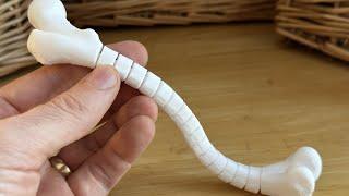 Fidget Femur