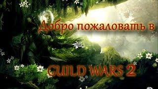 GUILD WARS 2. Краткий обзор рас, классов, создание персонажа