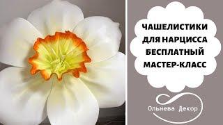 ЧАШЕЛИСТИКИ ДЛЯ НАРЦИССА. БЕСПЛАТНЫЙ МАСТЕР-КЛАСС ОТ ОЛЬНЕВА ДЕКОР