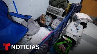 Unas 10,000 personas y 1,700 mascotas están en refugios de Sarasota mientras Milton pasa por allí