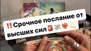 ‼️Срочное послание от высших сил️‍