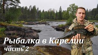 Рыбалка на Таежной реке. СКОЛЬКО ЖЕ ТУТ РЫБЫ? Жор ЩУКИ. День 3