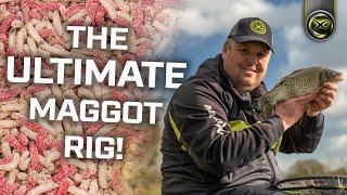 Jamie Hughes' Maggot Rig! ADVANCED rig knowledge! 