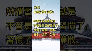 已經習慣不習慣！ 拾穗之悅～2025年1月8日