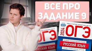 ВСЕ ДЛЯ ЗАДАНИЯ 9 | ОГЭ РУССКИЙ ЯЗЫК | 99 БАЛЛОВ