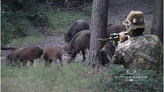 old school wildboar hunt | without thermal scope | hunting film 2022 | ep # 33