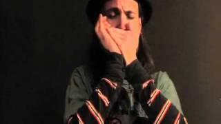 Lord Stompy: sandi the bipolar clown- harmonica french style