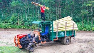 Use Truck To Transport Banana Trees To Sell for Hien, As Food for Pigs and Ducks - Daily Farm