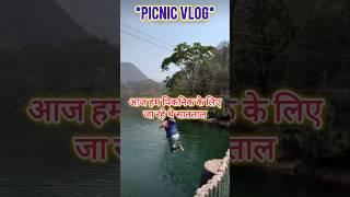 Get Ready for the Most VIBRANT Indian Family Picnic!  | Part 1 #shorts #viral