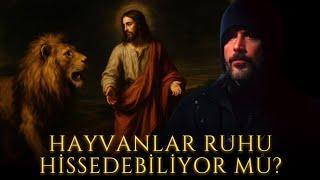 Hayvanlar Allah'ın Seçilmiş Kullarını Tanıyabilir mi?