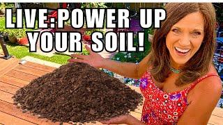 LIVE:  Power Up Your Soil For Next Spring (REPLAY)