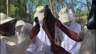 Beekeeping training at the Bas Boen CRDD