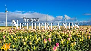 Spring Netherlands 4K Ultra HD • Stunning Footage, Scenic Relaxation Film with Calming Music.