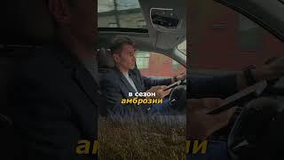 Бросают все и переезжают на север! 