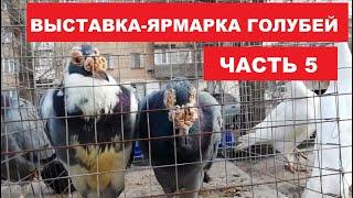 Выставка-ярмарка голубей и декоративных птиц. (22 февраля г.Кривой Рог Украина) ЧАСТЬ 5