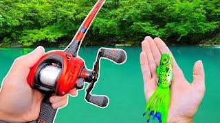 Fishing a Frog in Hidden Ponds!
