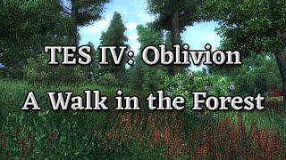 TES IV: Oblivion - A Walk in the Forest (Approx. 3 Minutes)