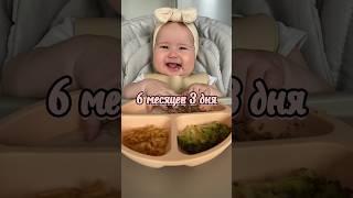 Первая тарелка️ Описание #blw #самоприкорм #6месяцев #babyledweaning #6months #6monthsbaby