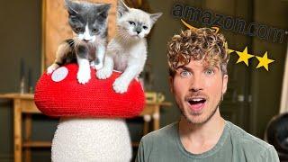 My Foster Kittens Test TOP RATED Amazon Cat Toys!