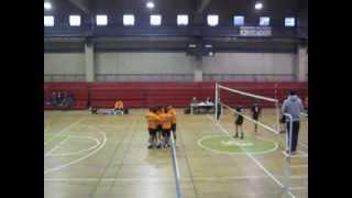 Mura/Falcon