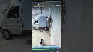 свинка вылезла