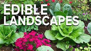 Edible Landscaping! Growing Vegetables in Your Flower Bed